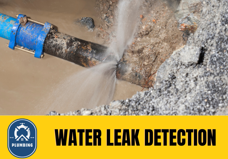 leak detection Thanet
